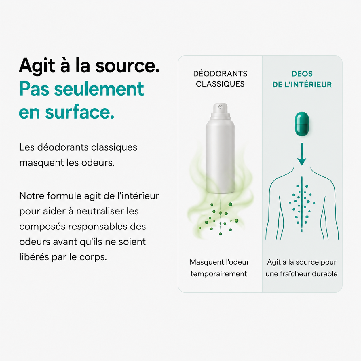 Comparatif